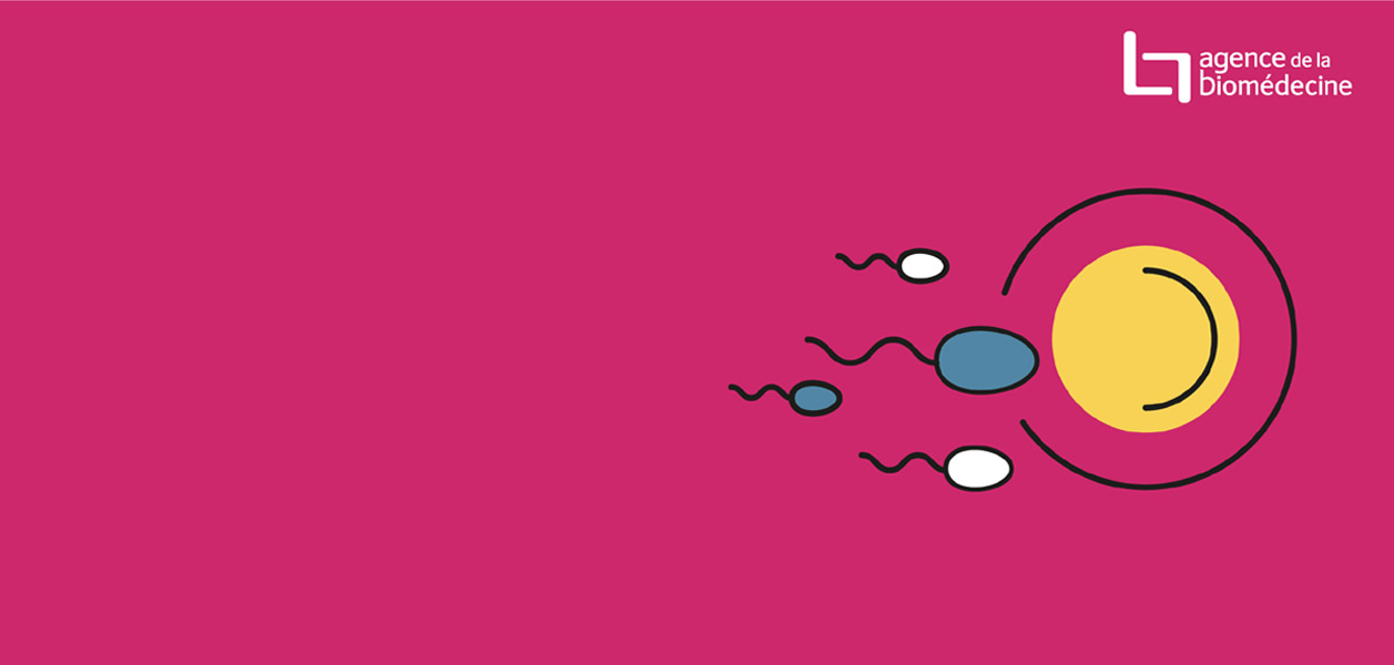 Dons d'ovocytes et de spermatozoïdes : campagne nationale (...)