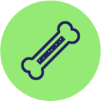 Bone marrow harvesting and transplantation