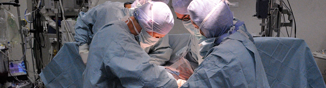 Donation, procurement and transplantation of organs and tissue
