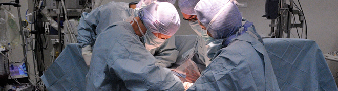  Donation, procurement and transplantation of organs and tissue