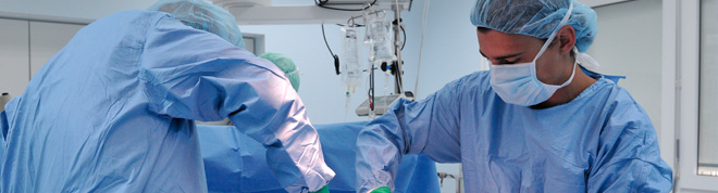 Procurement and transplantation of bone marrow
