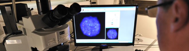 Preimplantation genetic diagnosis