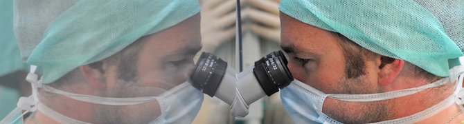 Research on embryos