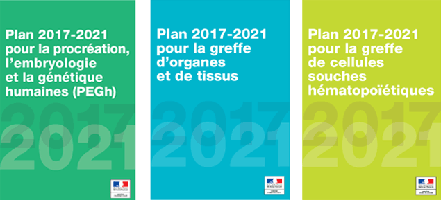 Plans d'actions ministériels 2017-2021
