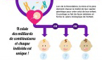 infographie génétique infographie génétique