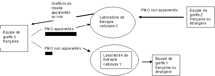 Figure CSH P3 : réalisation, traitement et destination des prélèvements allogénique de moelle osseuse