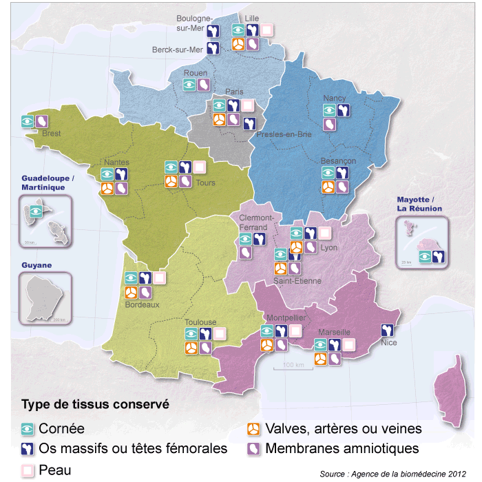 Figure T1. Répartition des banques de tissus selon le type de tissu conservé en 2011