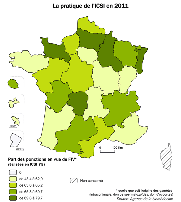 Figure AMP5.