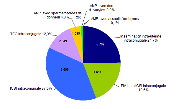 Figure AMP8. Part des  enfants nés après AMP en 2011 selon le type d'AMP et l'origine des gamètes  (N=23 127)