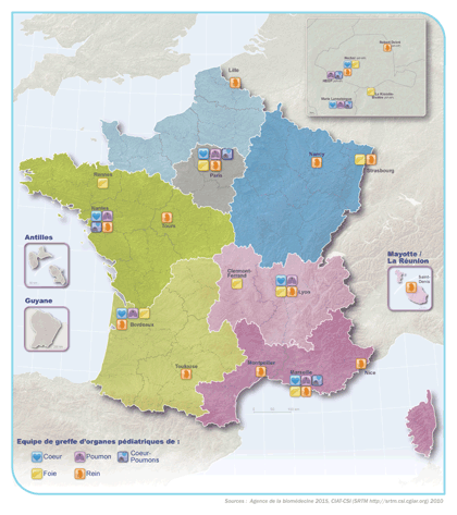 Figure G2. Répartition territoriale des équipes de greffe d’organes pédiatriques