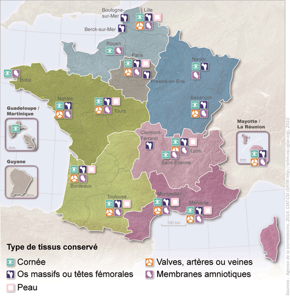 Figure T1. Répartition des banques de tissus selon le type de tissu conservé en 2014