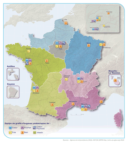 Figure G2. Répartition territoriale des équipes de  greffe d’organes pédiatriques