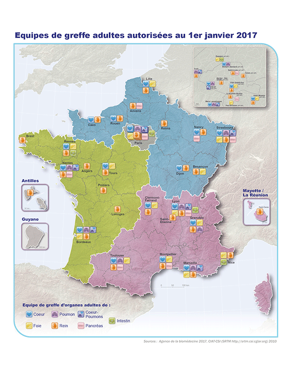 Figure G1. Répartition territoriale des  équipes de greffe d’organes adultes