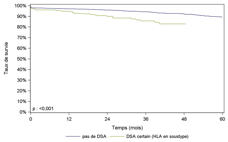 Figure R13. Survie du greffon    rénal issu de donneur vivant selon la présence d'anticorps anti-HLA dirigés    contre le HLA du donneur (2010-2015)