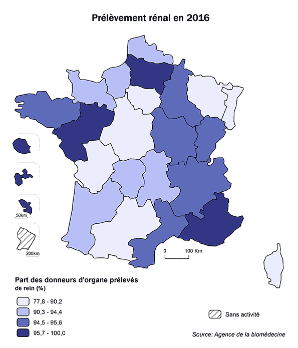 Figure AR P8. Prélèvement rénal en 2016