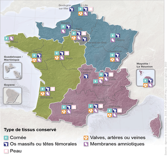 Figure T2. Répartition des banques de tissus selon le type de tissu conservé en 2016.